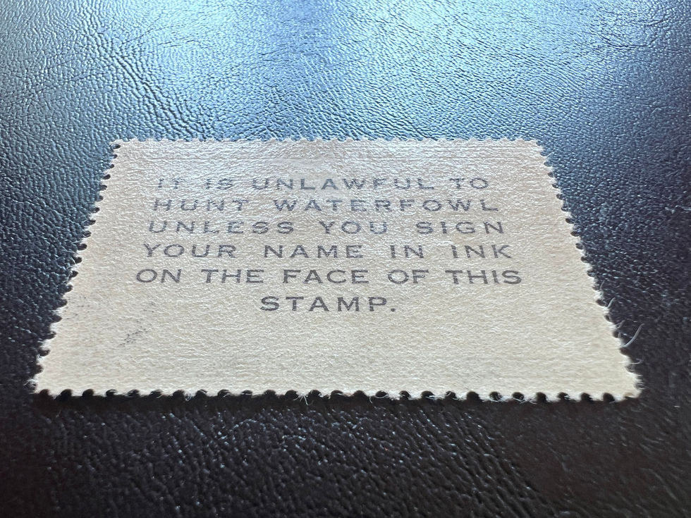 RW21 1954-55 Ring-Necked Ducks, Mint XF LH Duck Stamp