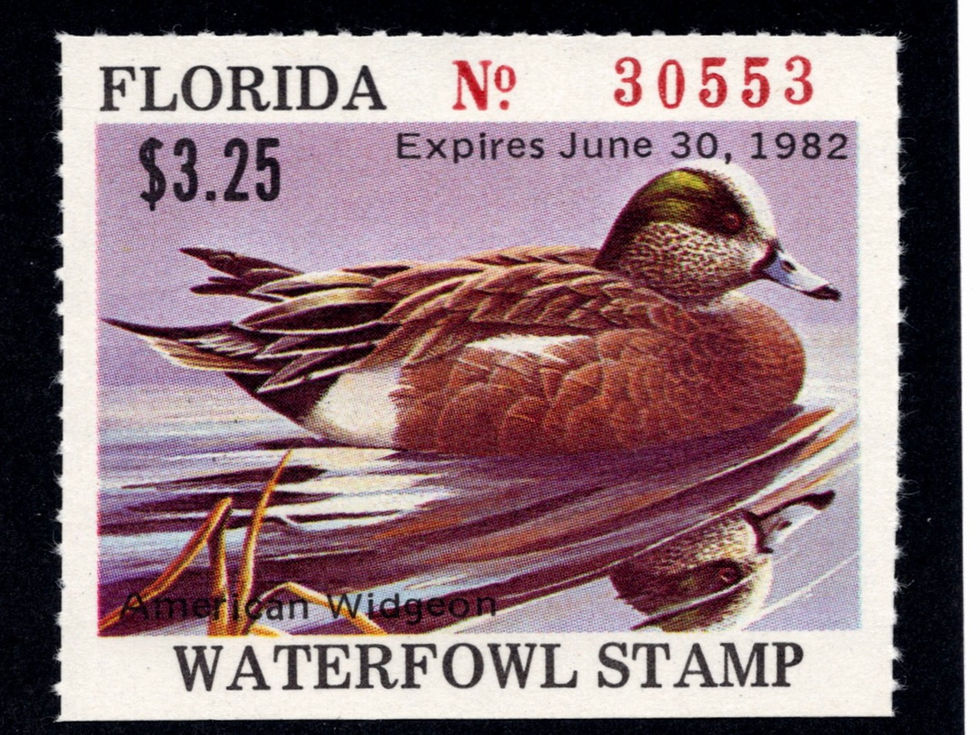 Florida 1981 FL3 Widgeon, Mint Duck Stamp