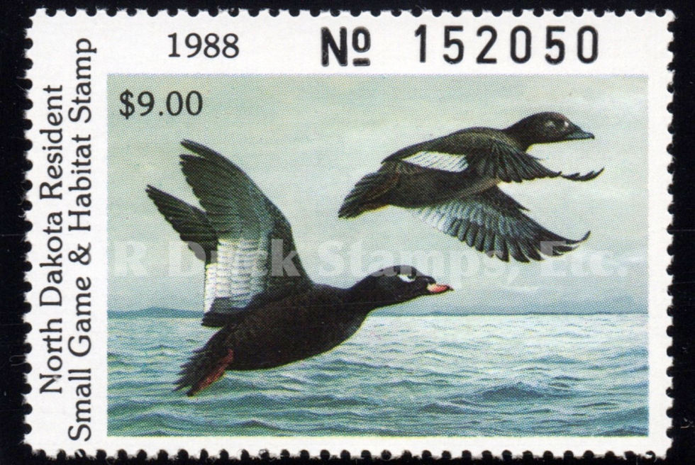 North Dakota ND7 1988 White-winged Scoters