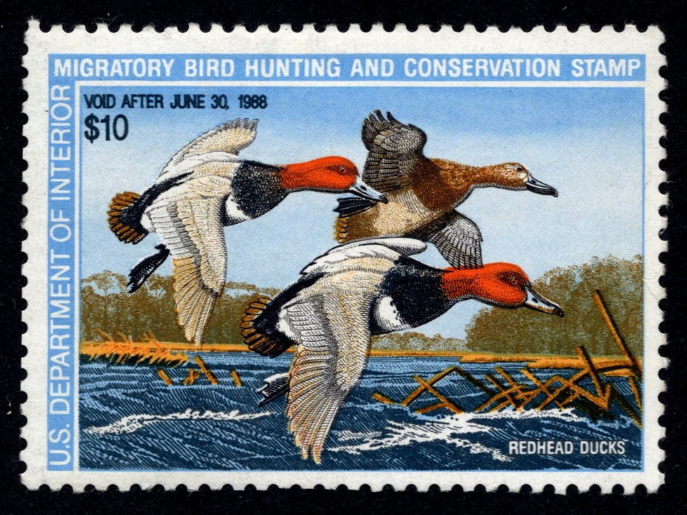 RW54 1987-88 Redhead Ducks, Used Unsigned Duck Stamp