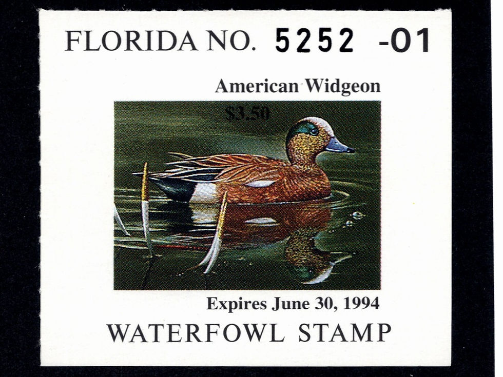 Florida 1993 FL15 Widgeon, Mint Duck Stamp