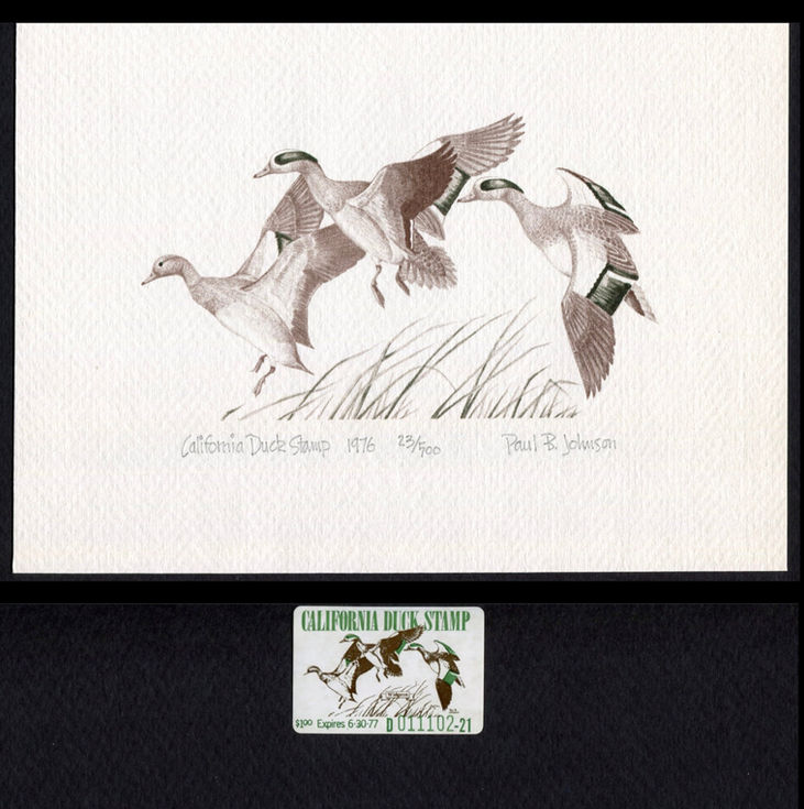 CA6 1976 Duck Stamp Print signed by Paul B Johnson 23/500 with mint stamp