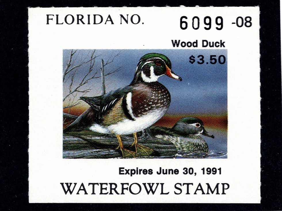Florida 1990 FL12 Wood Duck, Mint Duck Stamp
