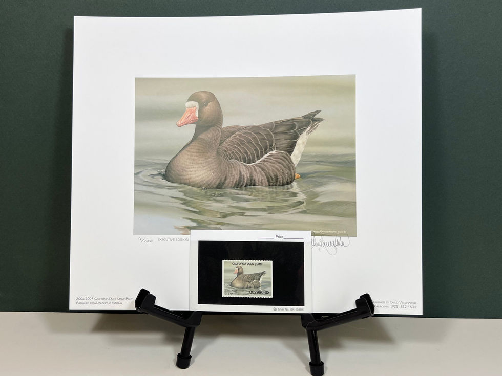 CA36 2006 White-Fronted Goose by Sherrie Russell Meline 16/150