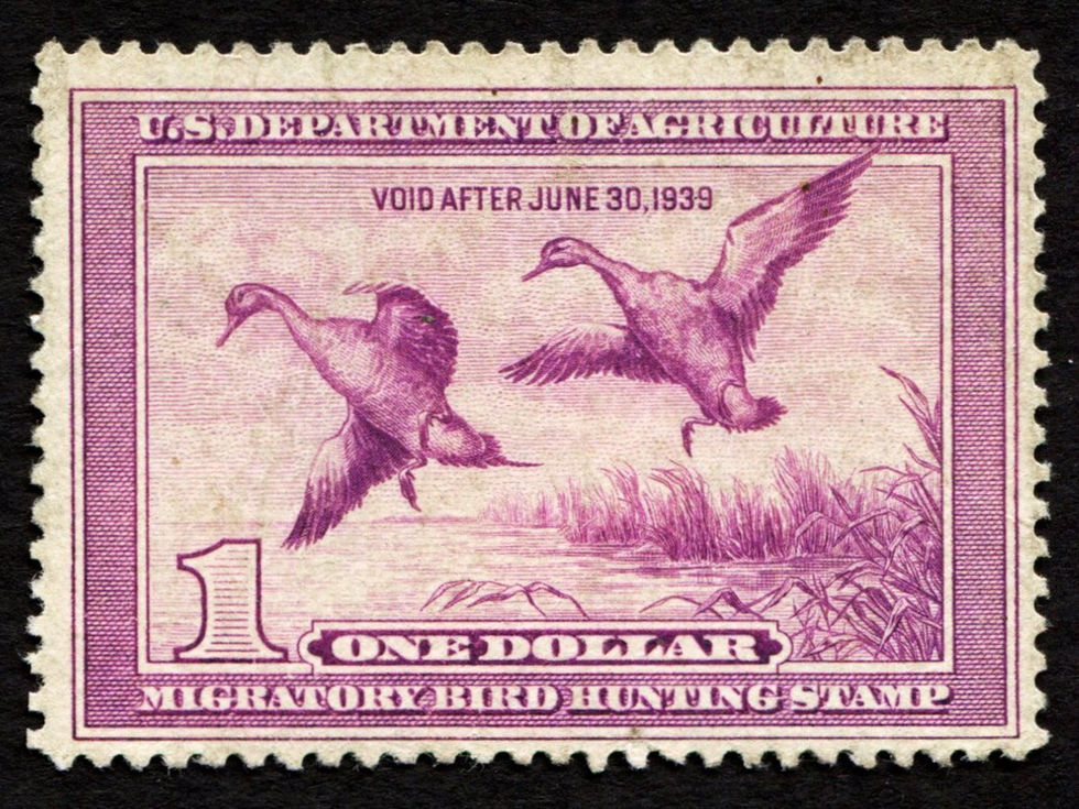 RW5 1938-39 Northern Pintails, Used Unsigned VF Duck Stamp