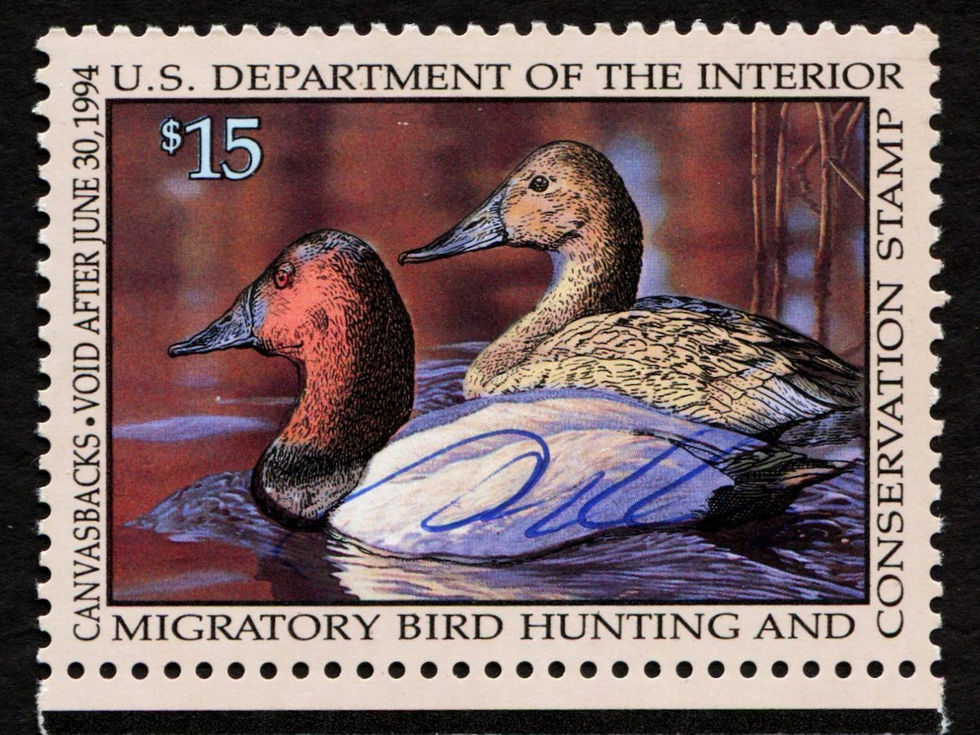 RW60 1993-94 Canvasbacks, Mint VF Artist-Signed by Bruce Miller Duck Stamp