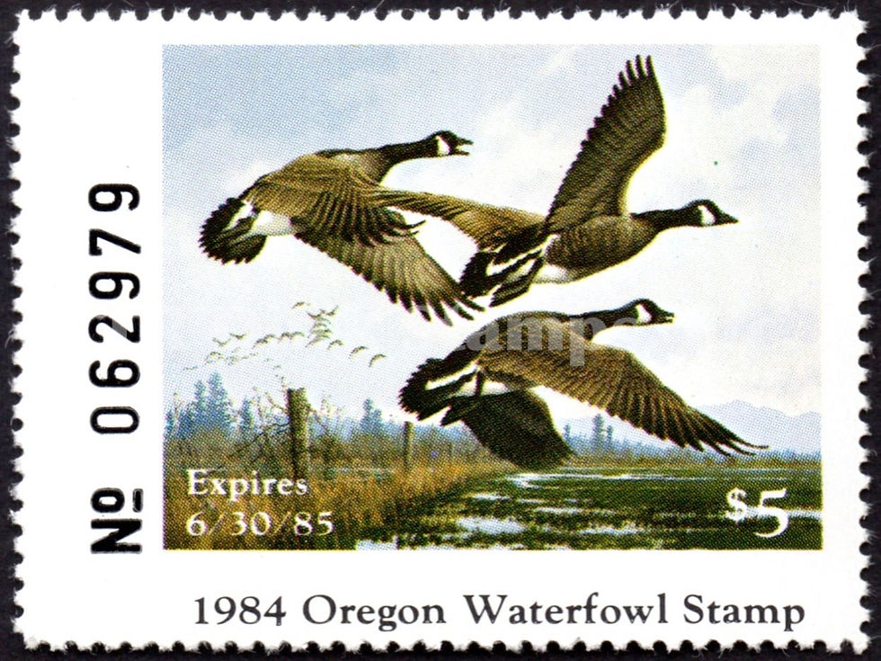 Oregon First OR1 of State 1984 Canada Geese Duck Stamp