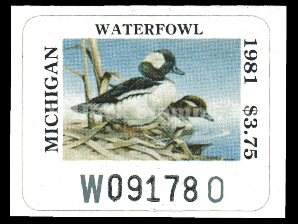 Michigan 1981 MI6 Buffleheads Duck Stamp