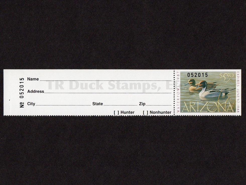 Arizona 1987 AZ1A Pintails, Hunter Version