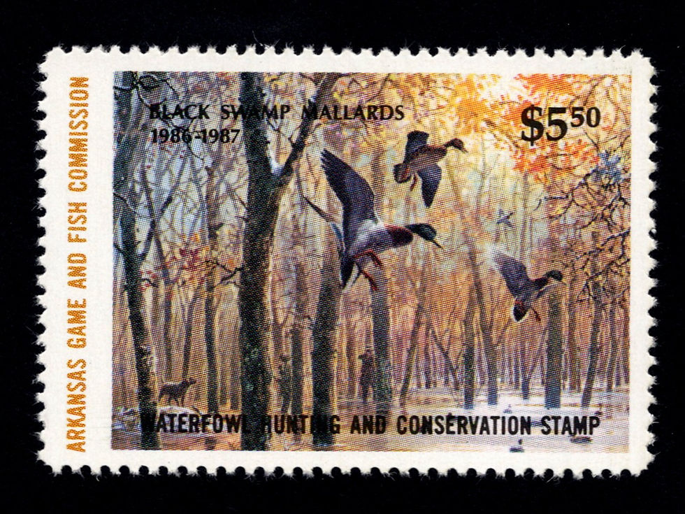 Arkansas 1986 AR6 Black Swamp Mallards Duck Stamp