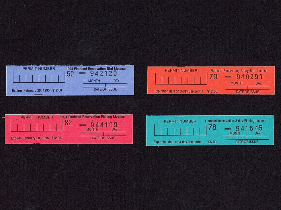 FH20-23 Flathead Reservation 1994 set/4 stamps