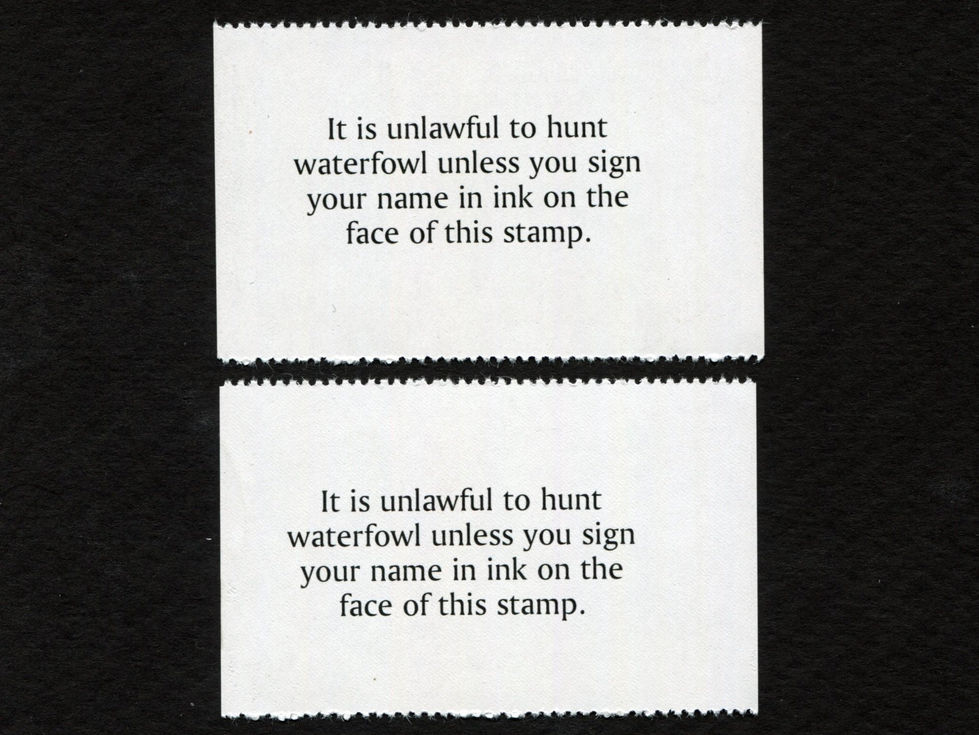 SCARCE Lower Brule 2007 Waterfowl, Set/2 Stamps