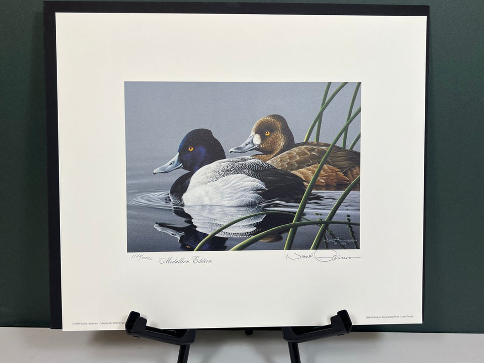 RW56 1989-90 Lesser Scaup by Neal Anderson 1140/7000