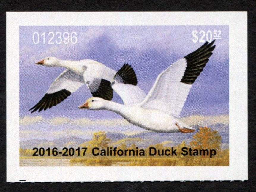 CA46 California Duck Stamp 2016-17 Ross Geese, Mint VF 12396