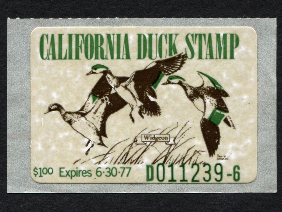 CA6a California Duck Stamp 1976-77 Mint VF-XF w/wavy red line
