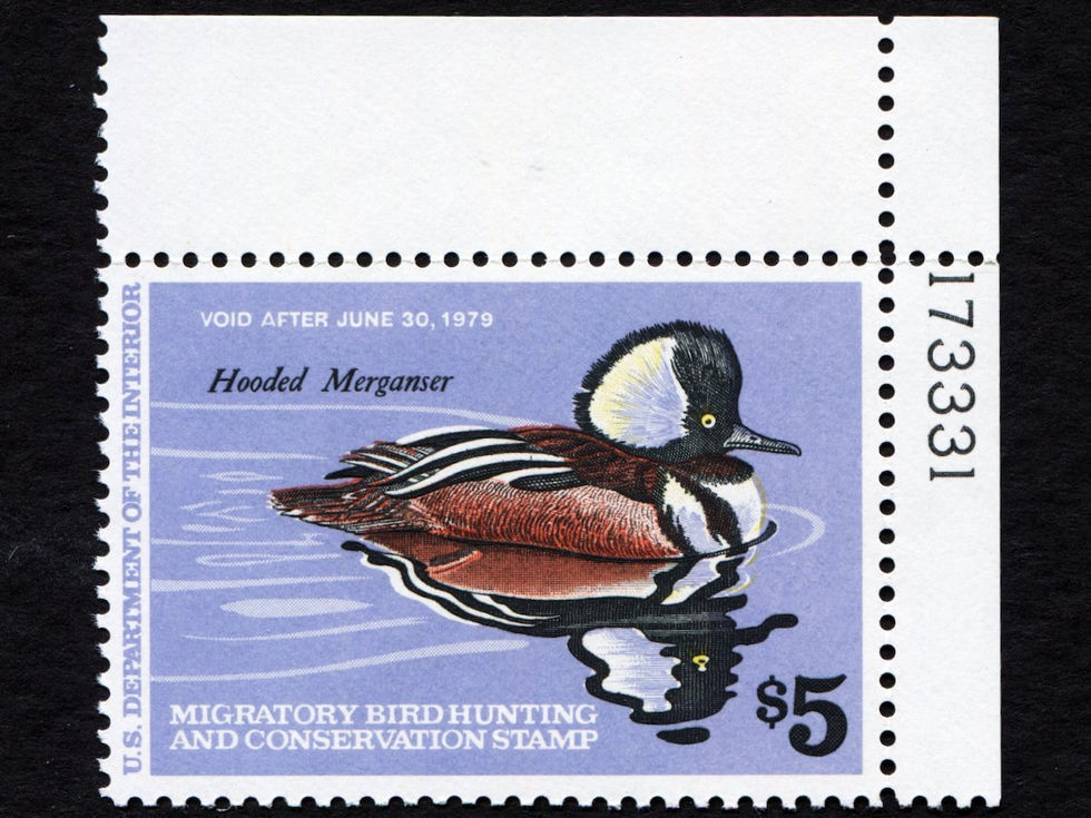 RW45 1978-79 Hooded Merganser, MNH VF Plate# Single Duck Stamp