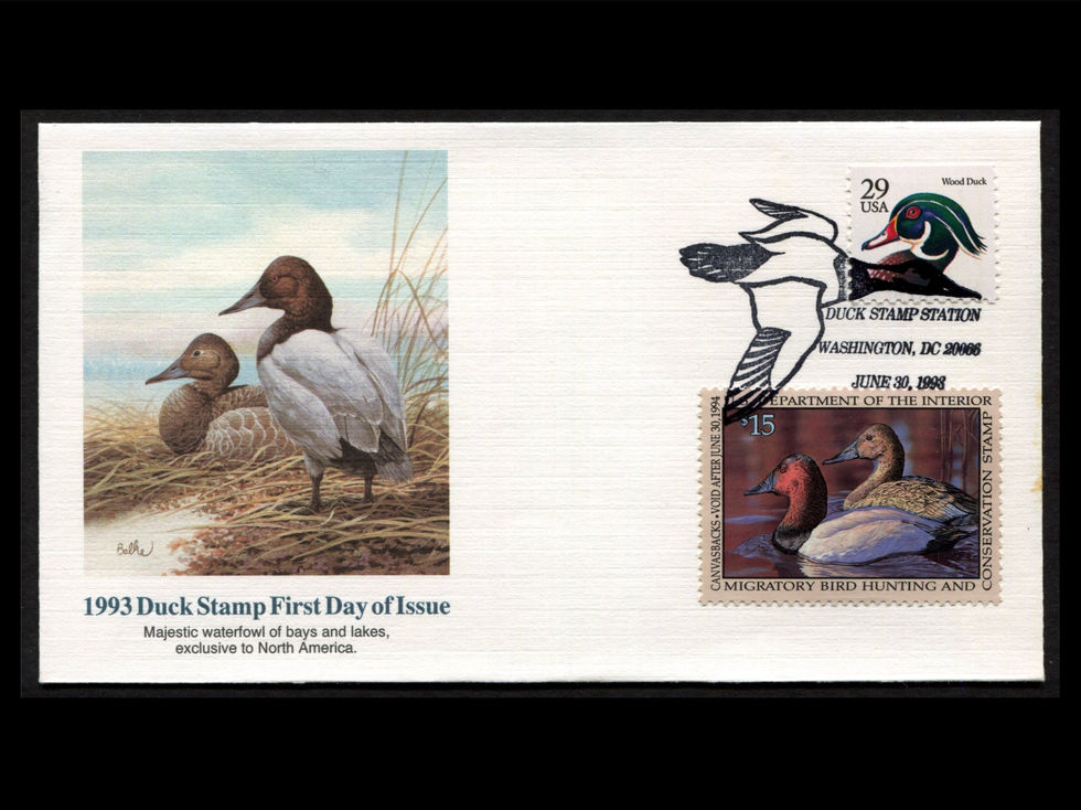 1993 Fleetwood Balke RW60 Duck Stamp FDC - Canvasbacks