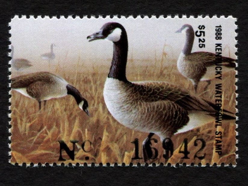 Massachusetts 1992 MAA31 Archery