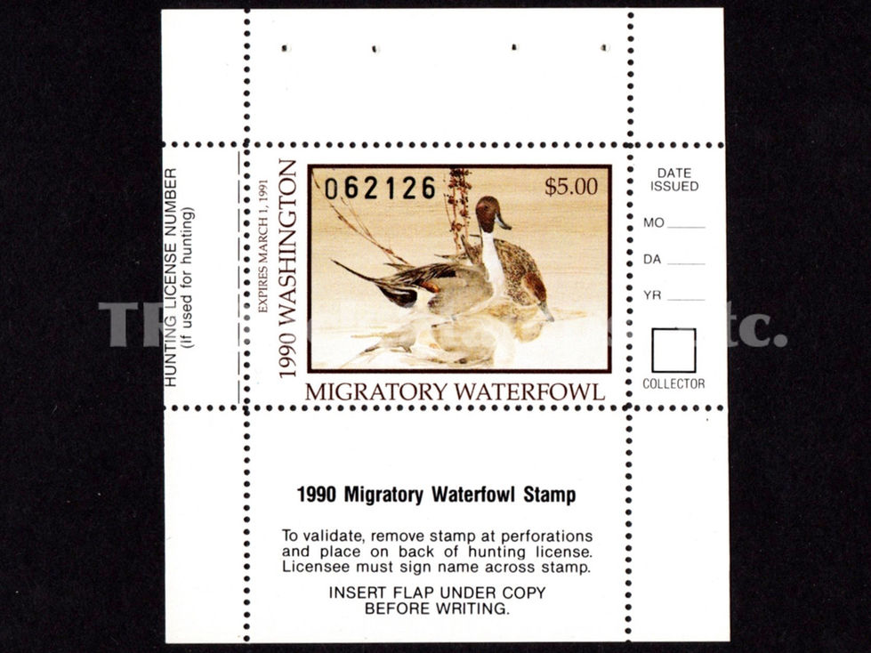 Washington 1990 WA5A Pintails, Mini-Sheet