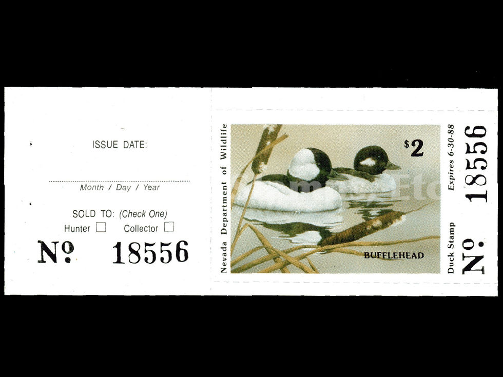 Nevada 1987 NV9A Buffleheads, Tab, Artist Sherrie Russell Meline