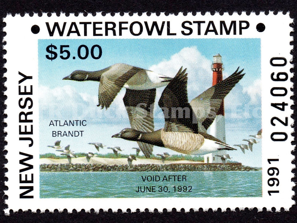 New Jersey NJ8AV 1991 $5 Brandt, Error Non-Resident