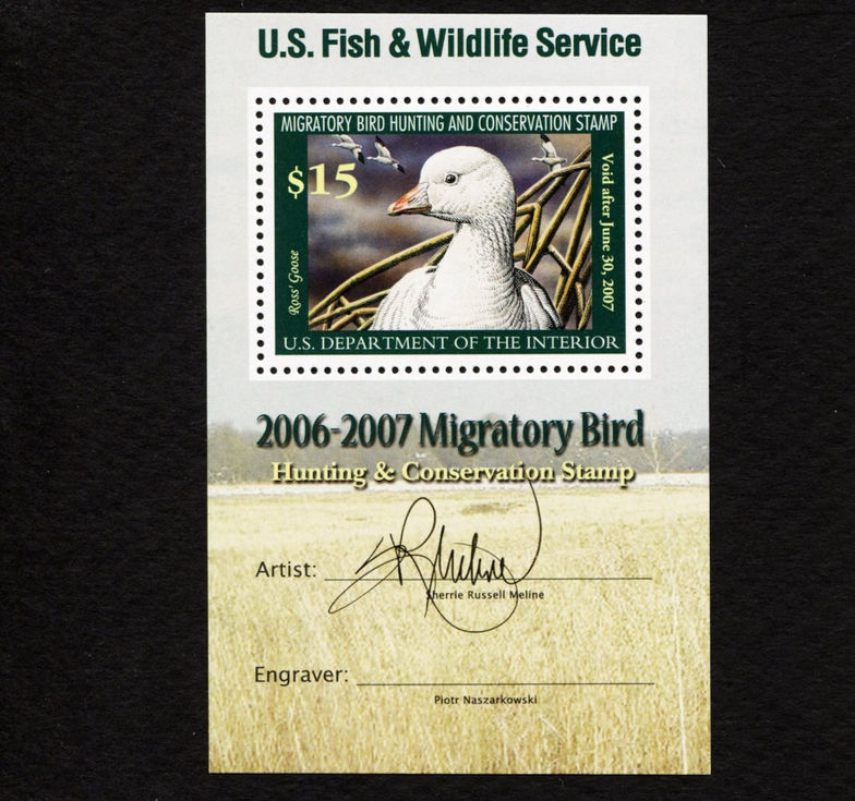 RW73B 2006-07 Ross' Goose, VF Mini Sheet Duck Stamp