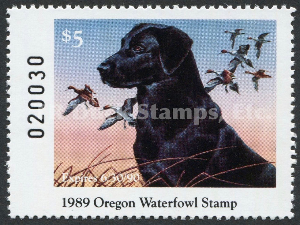 Oregon 1989 OR6 Black Labrador/Pintail Duck Stamp