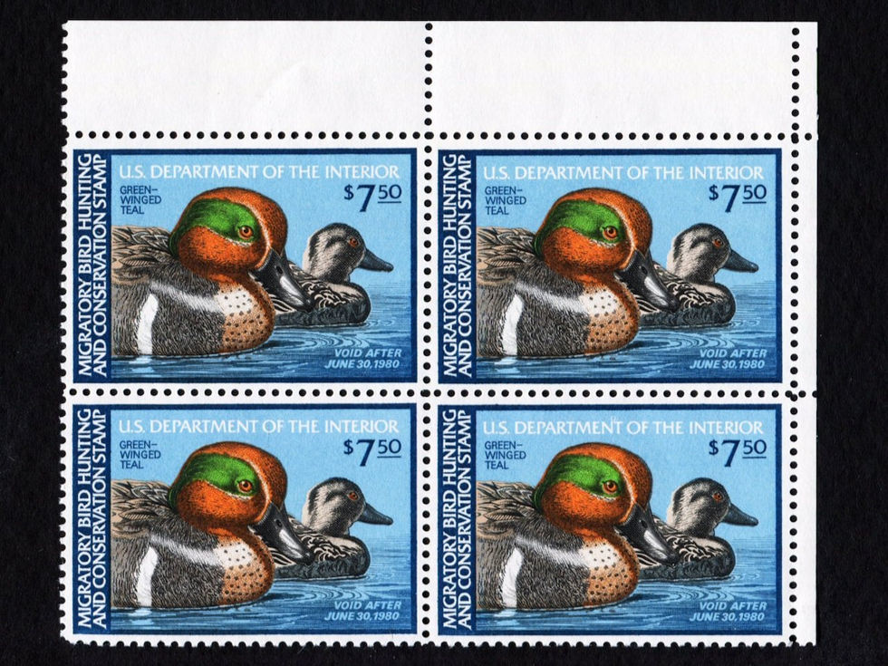 RW46 1979-80 Green-Winged Teal, MNH F-VF Plate Block/6 Duck Stamp