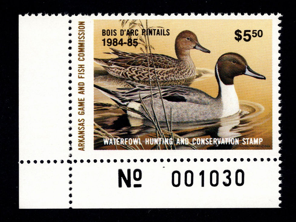 Arkansas 1984 AR4 Bois D'Arc Pintails Duck Stamp Plate# Single