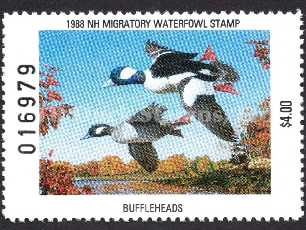 New Hampshire NH6 1988 Buffleheads Duck Stamp