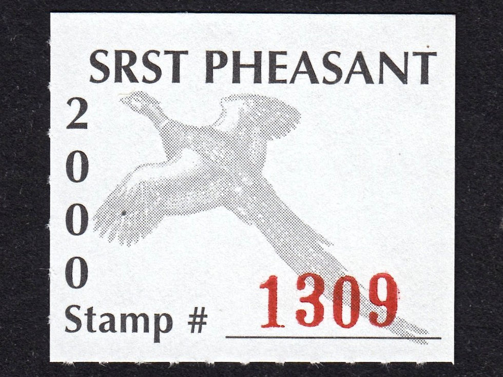 SR99A Standing Rock 2000 Pheasant (Bright White Paper) Stamp