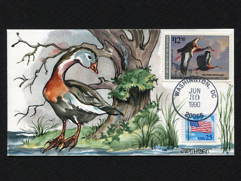 1990 Hand Painted Judith Fogt RW57 Duck Stamp First Day Cover