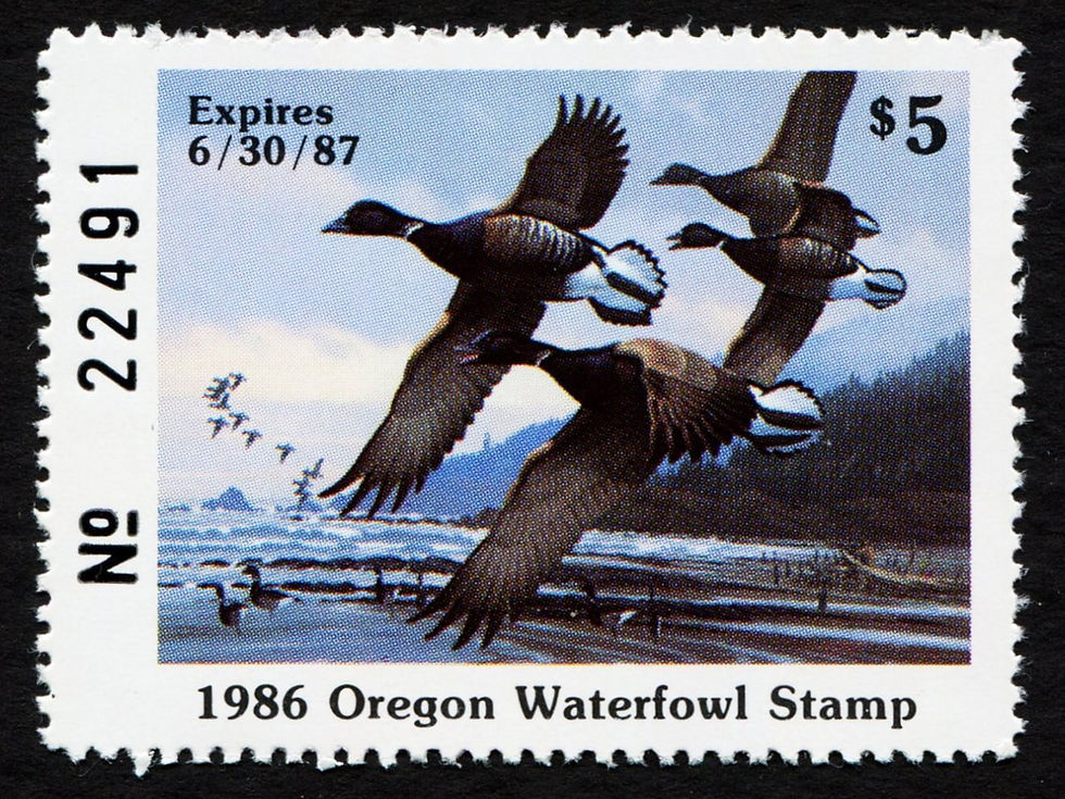 Oregon 1986 OR3 Pacific Brant