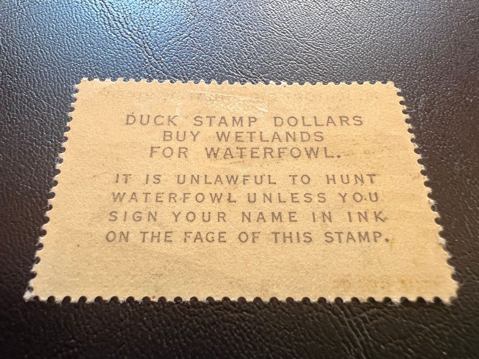 RW31 1964-65 Nene Goose Mint VLH VF Duck Stamp