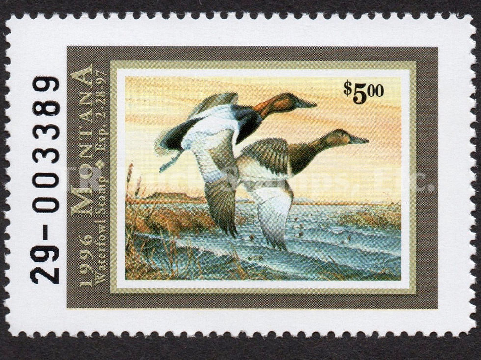 Montana 1996 MT11 Canvasback Duck Stamp
