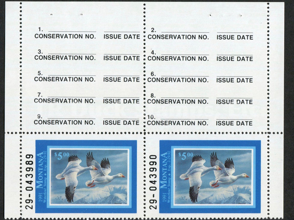 Montana 1991 MT6AP Snow Geese, Pair Duck Stamp