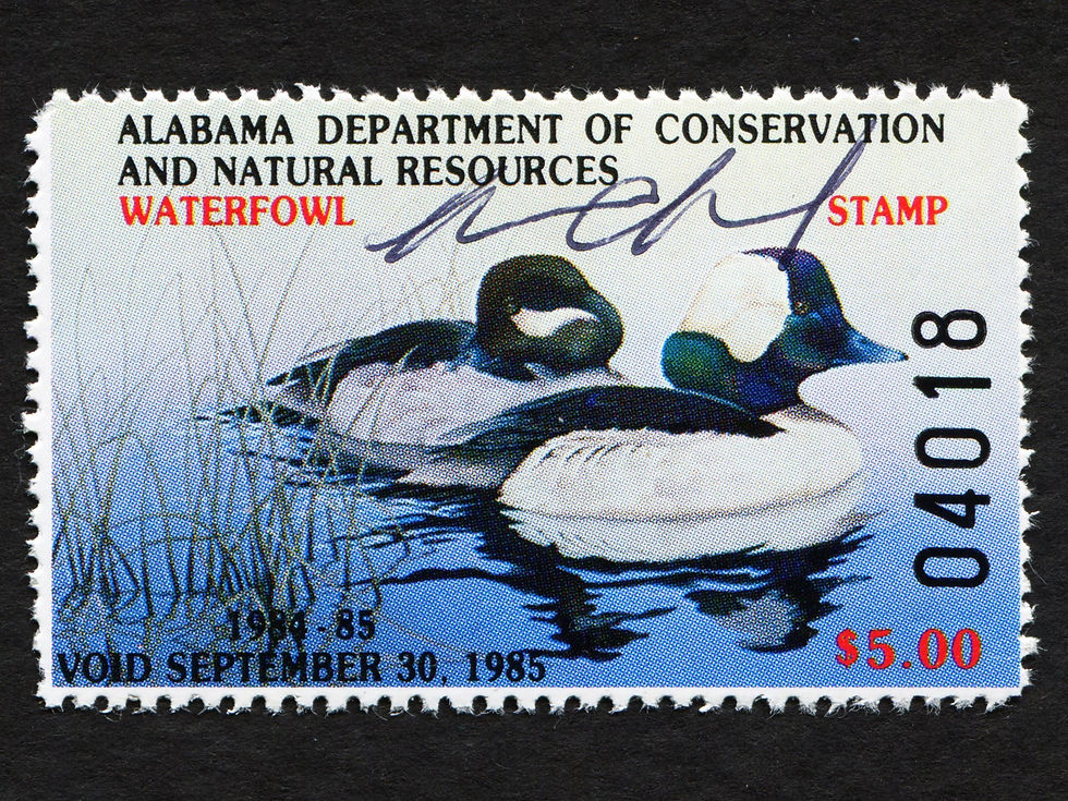 Alabama 1984 AL6 Buffleheads Artist-Signed William Morris