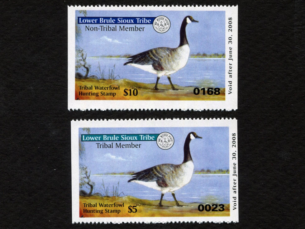 SCARCE Lower Brule 2007 Waterfowl, Set/2 Stamps