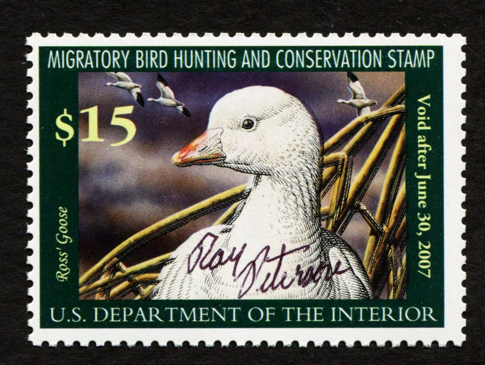 RW73 2006-07 Ross' Goose, Used Full Gum Duck Stamp