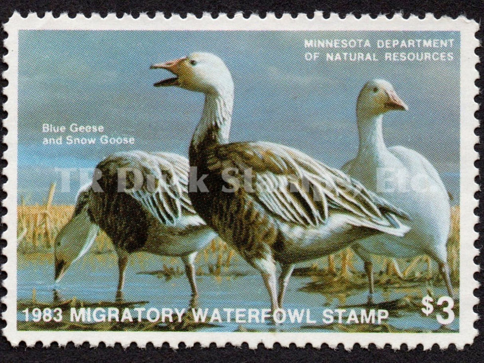 Minnesota 1983 MN7 Blue Geese and Snow Geese Duck Stamp