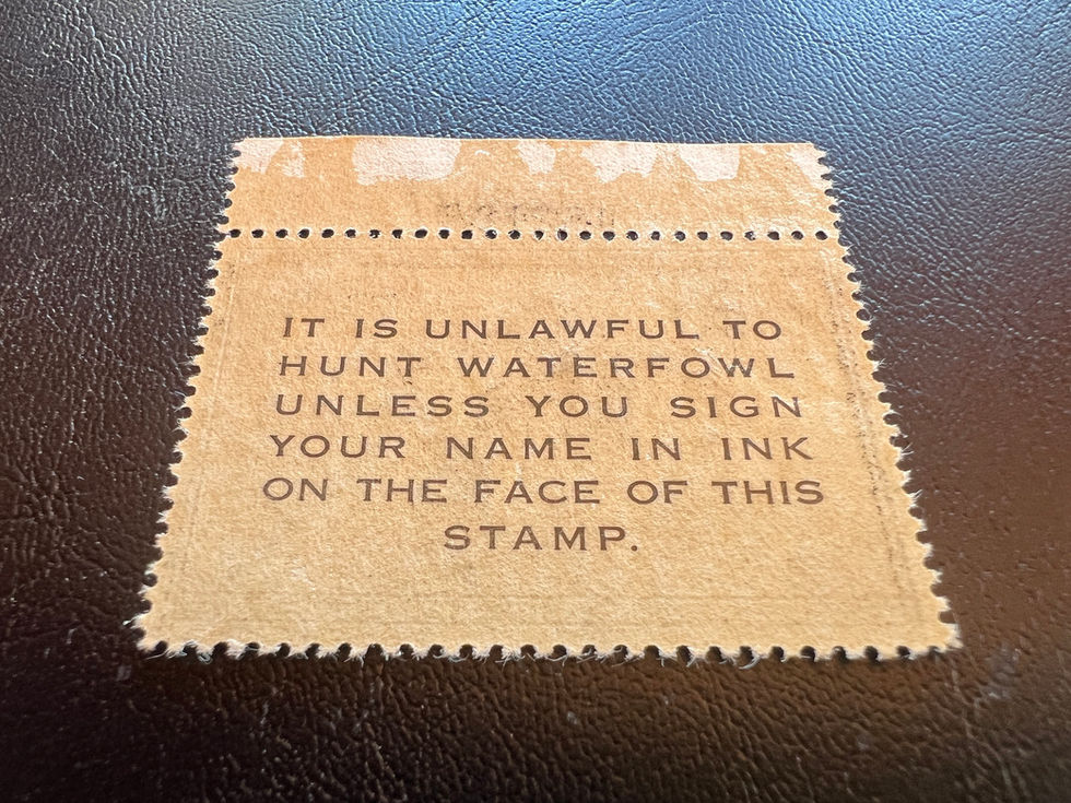 RW18 1951-52 Gadwall Ducks, Mint XF Mint NH P/S Duck Stamp