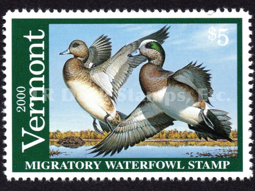 Vermont 2000 VT15 Widgeon Duck Stamp
