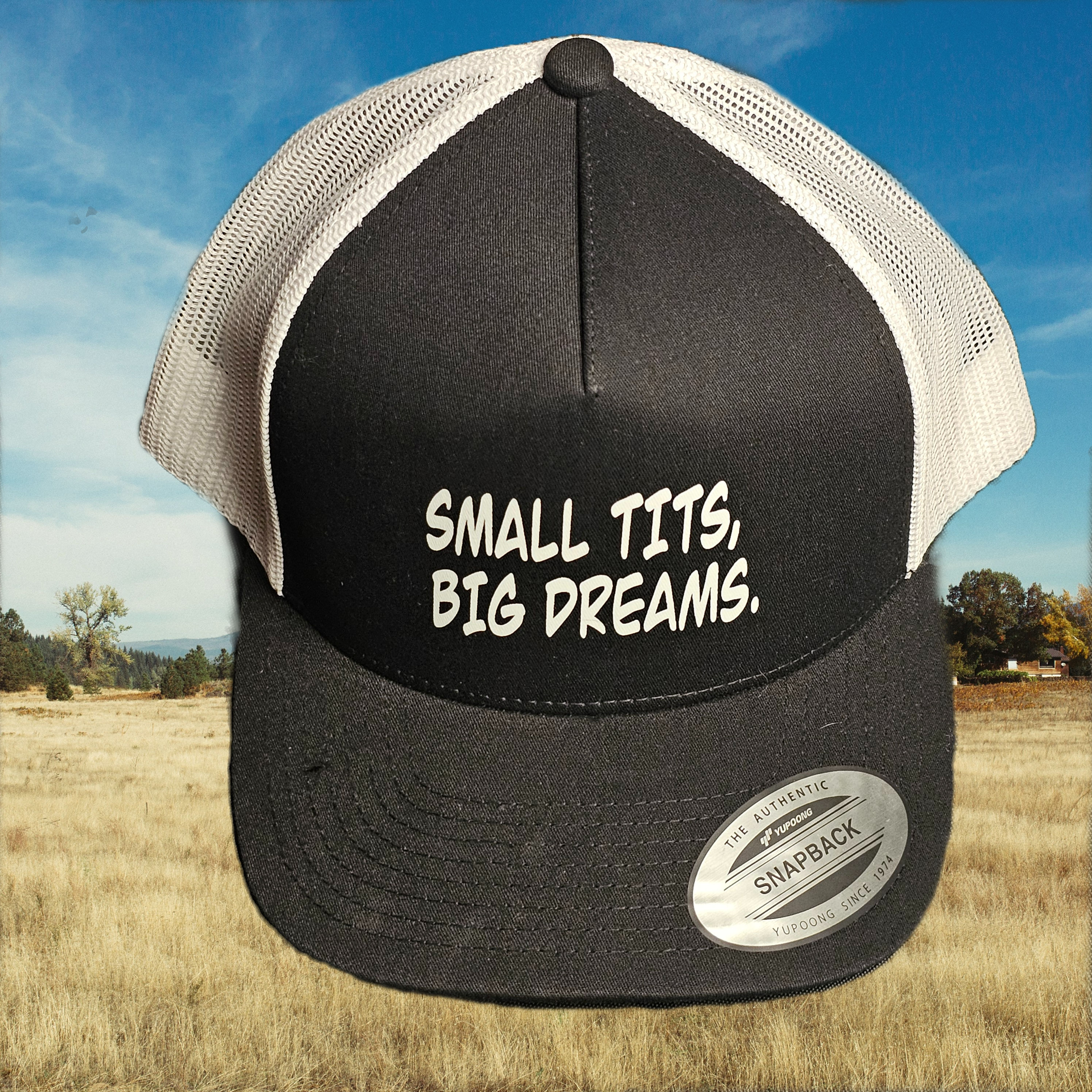 Small Tits, Big Dreams Snapback
