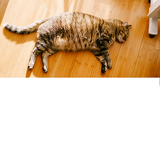9.png
