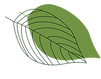green leaf.png