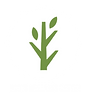 Roots Wellness Center Logo.png
