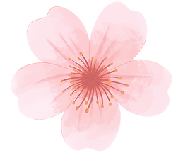 Untitled design (9) 2.png