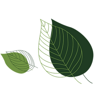 leaves.png