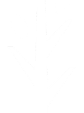 RWC Tree.png