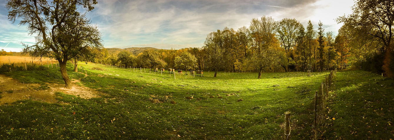 Shutterstock_1926087149 (1).jpg
